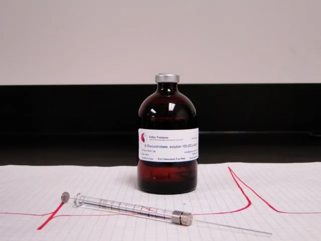 beta Glucuronidase solution from abalone