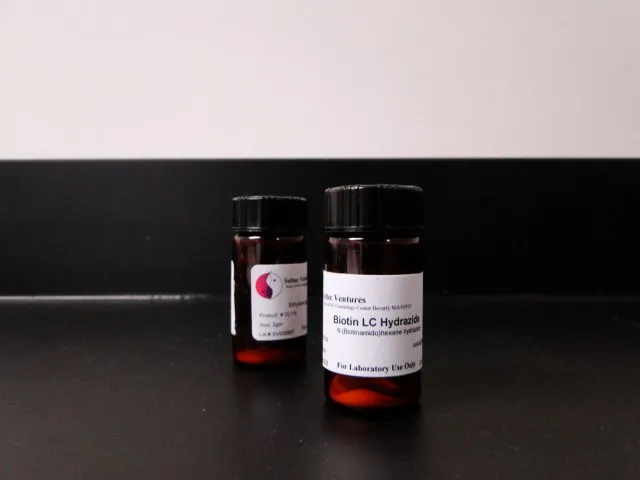 BIOTIN LC HYDRAZIDE