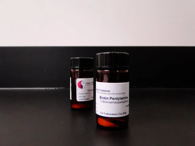 BIOTIN PENTYLAMINE