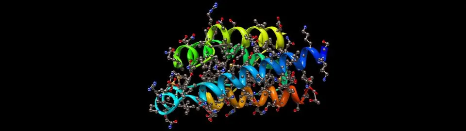 Product showcase image