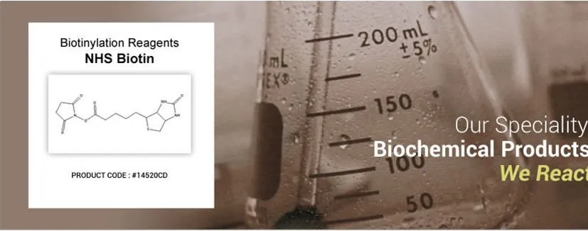 Product showcase image